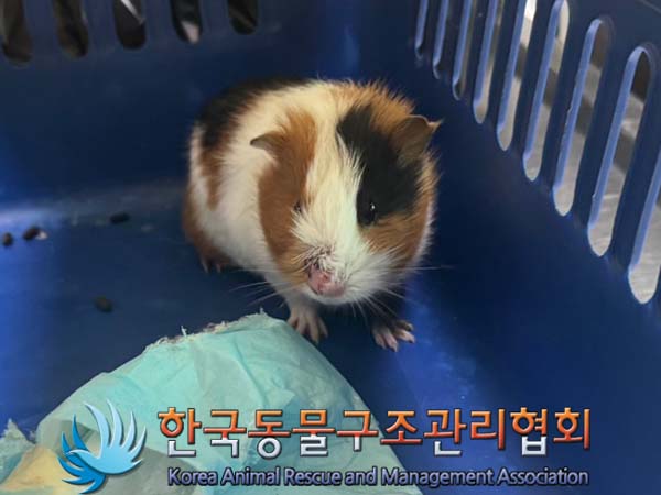 한국동물구조관리협회_441406202401268